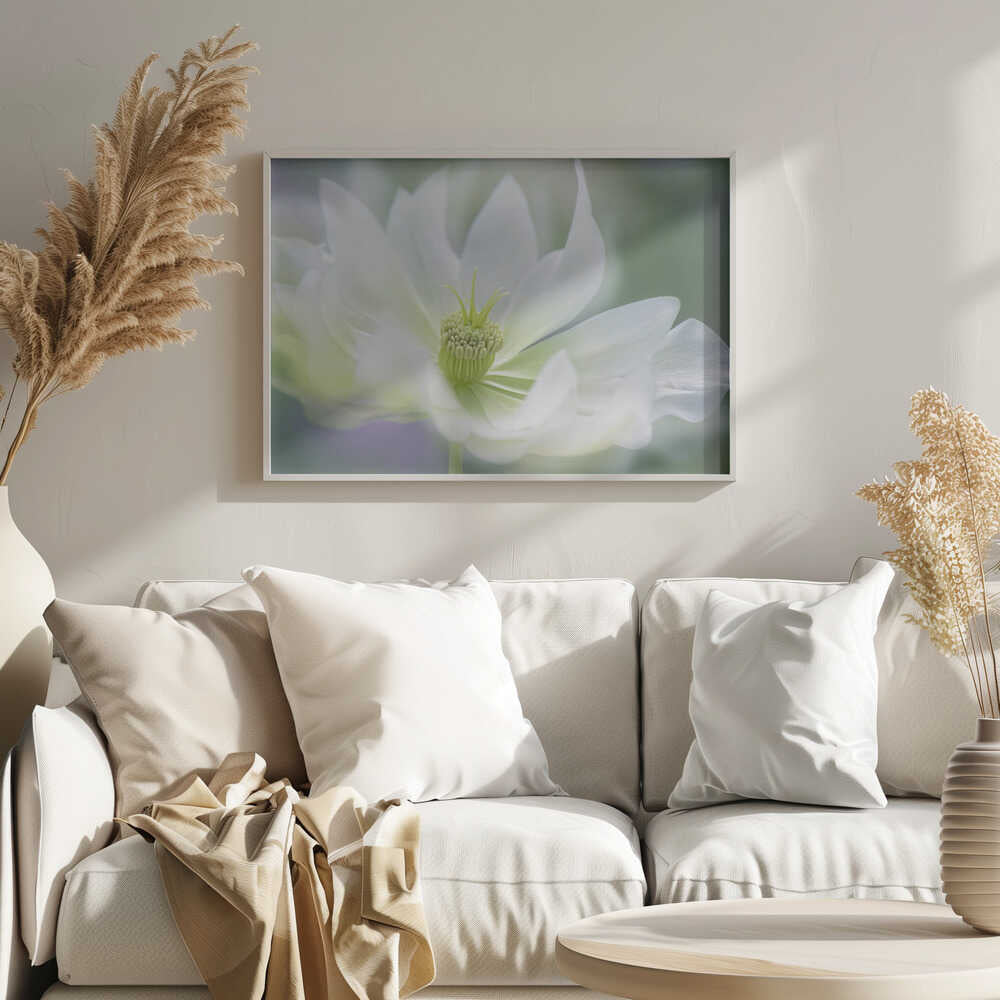 Ethereal White Bloom - Floral Photographic Stretched Canvas Poster or Fine Art Print
