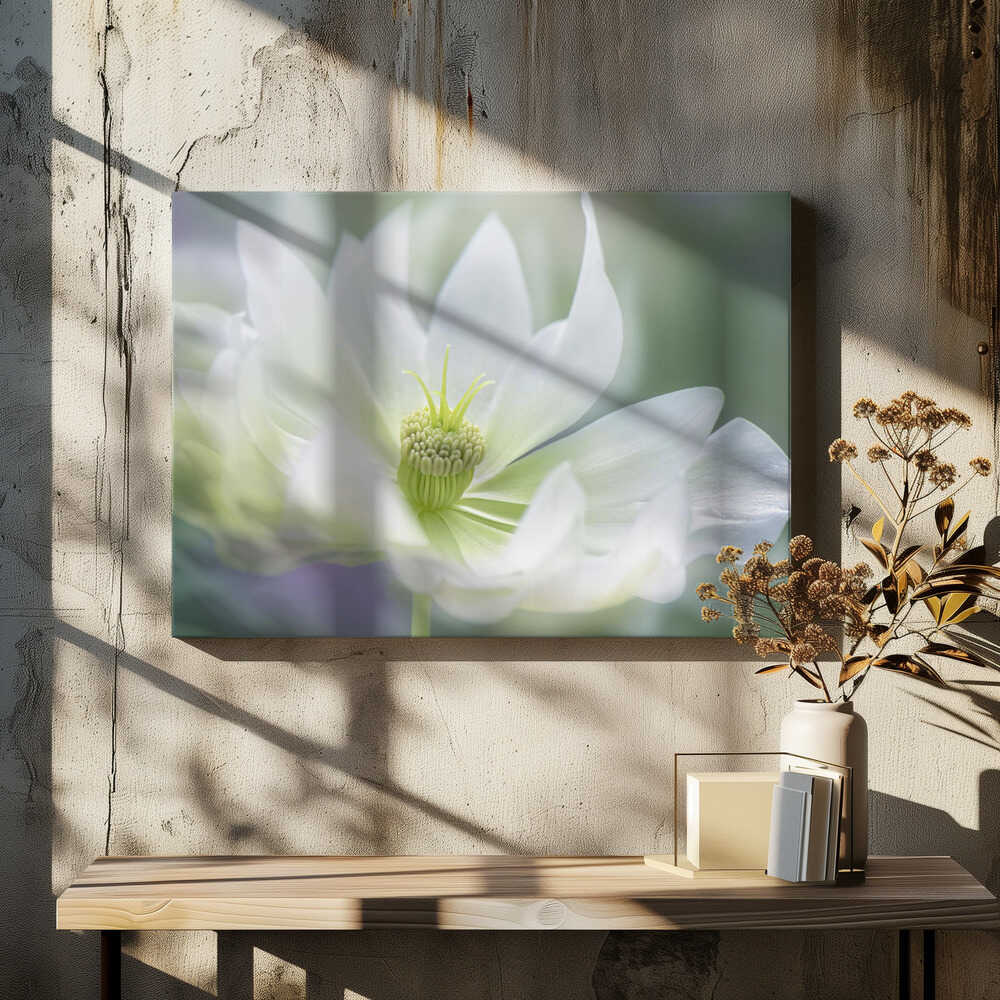 Ethereal White Bloom - Floral Photographic Stretched Canvas Poster or Fine Art Print