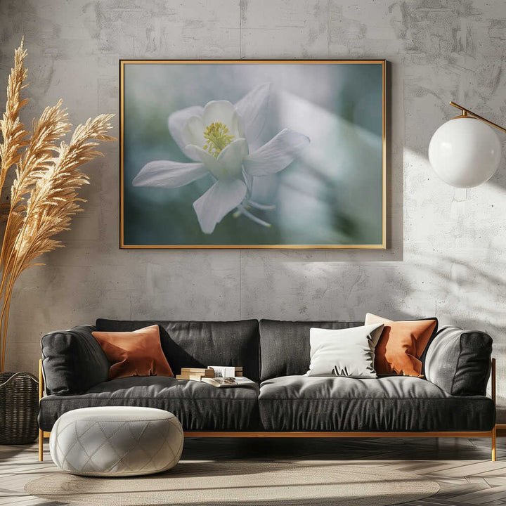 Ethereal White Flower - Floral Photographic Stretched Canvas Poster or Fine Art Print