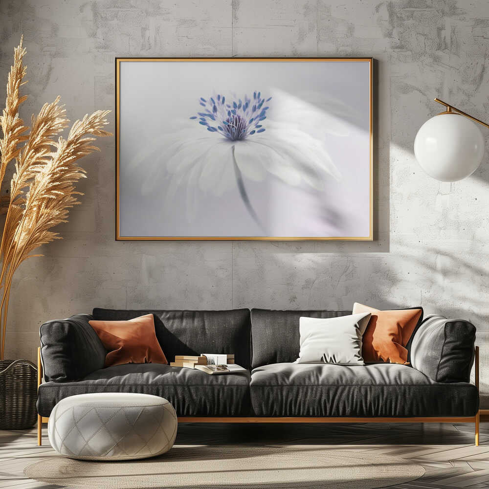 Ethereal White Flower - Floral Photographic Stretched Canvas Poster or Fine Art Print