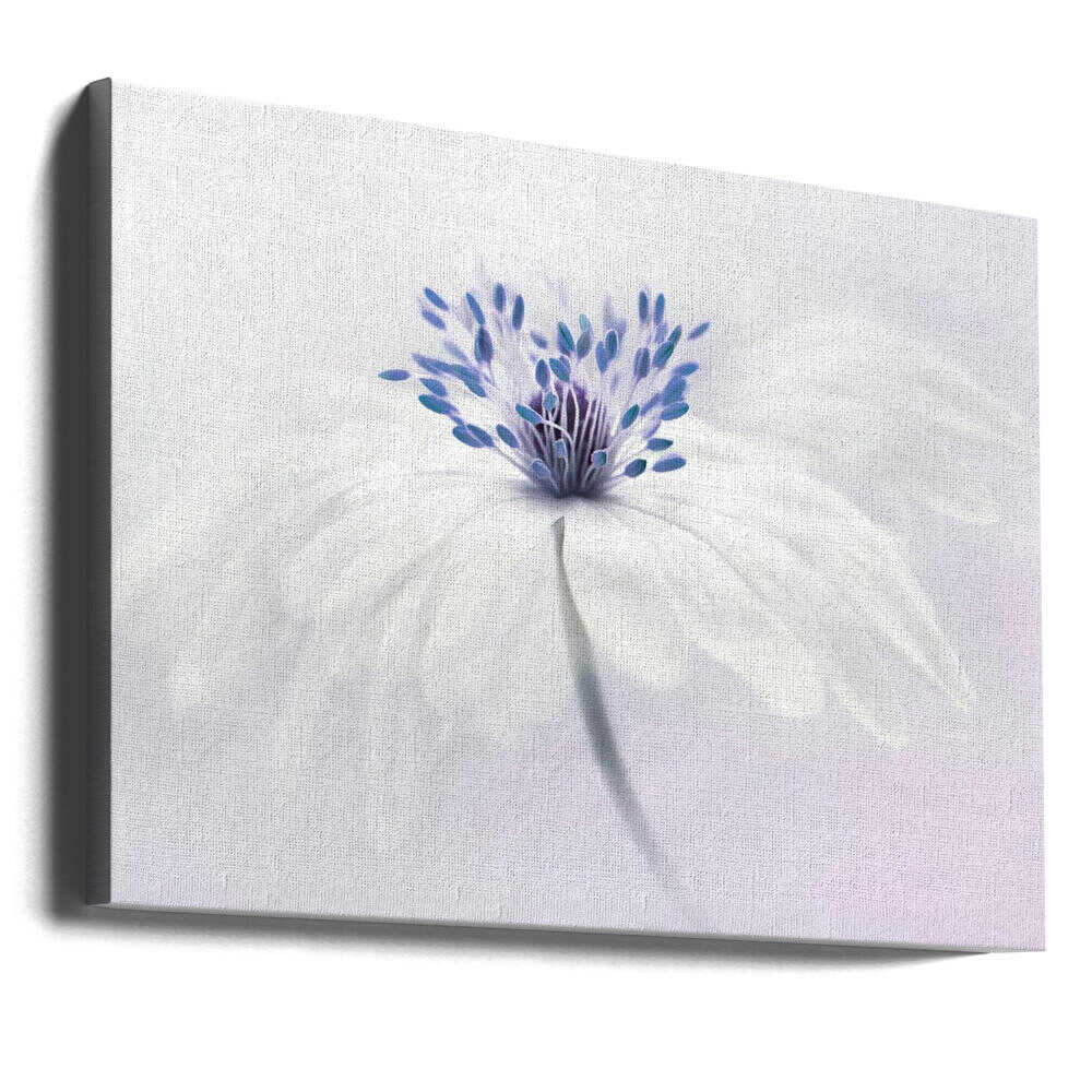 Ethereal White Flower - Floral Photographic Stretched Canvas Poster or Fine Art Print