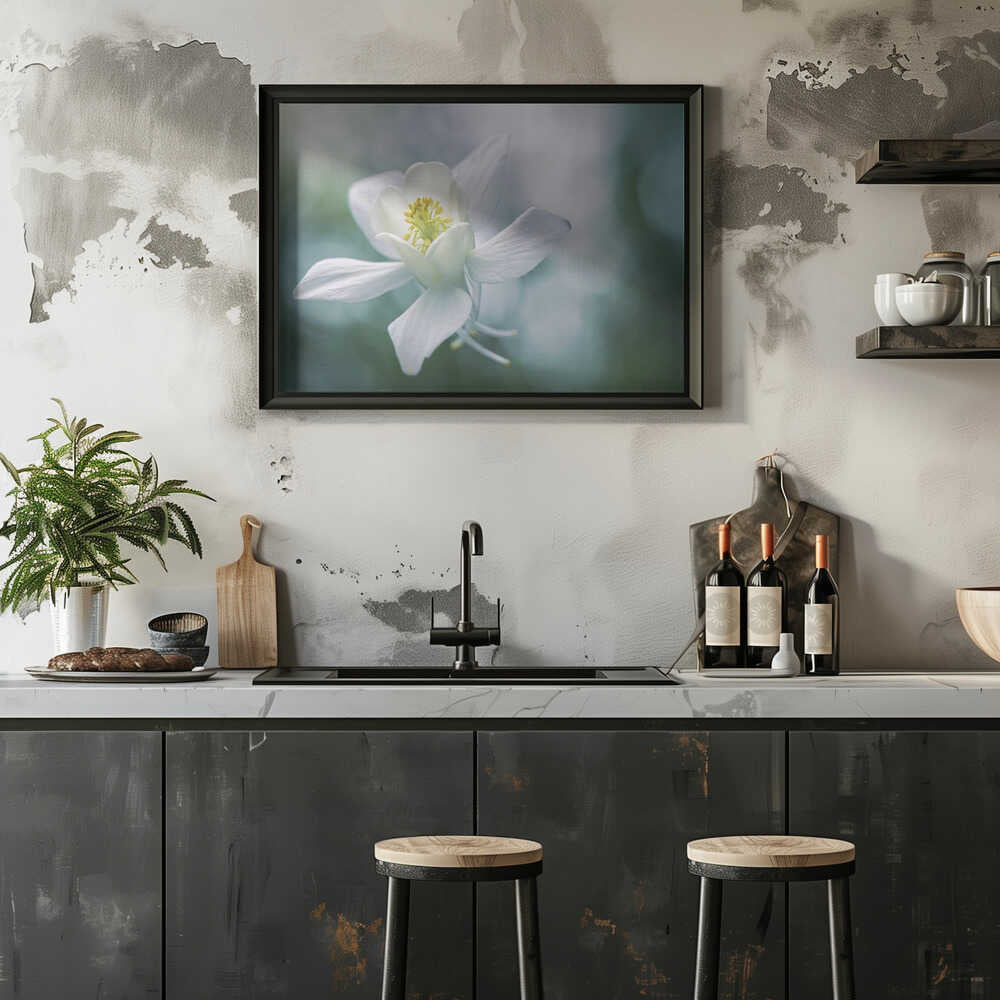 Ethereal White Flower - Floral Photographic Stretched Canvas Poster or Fine Art Print