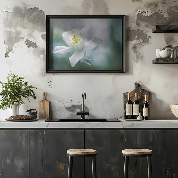 Ethereal White Flower - Floral Photographic Stretched Canvas Poster or Fine Art Print