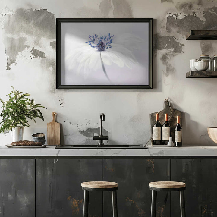 Ethereal White Flower - Floral Photographic Stretched Canvas Poster or Fine Art Print