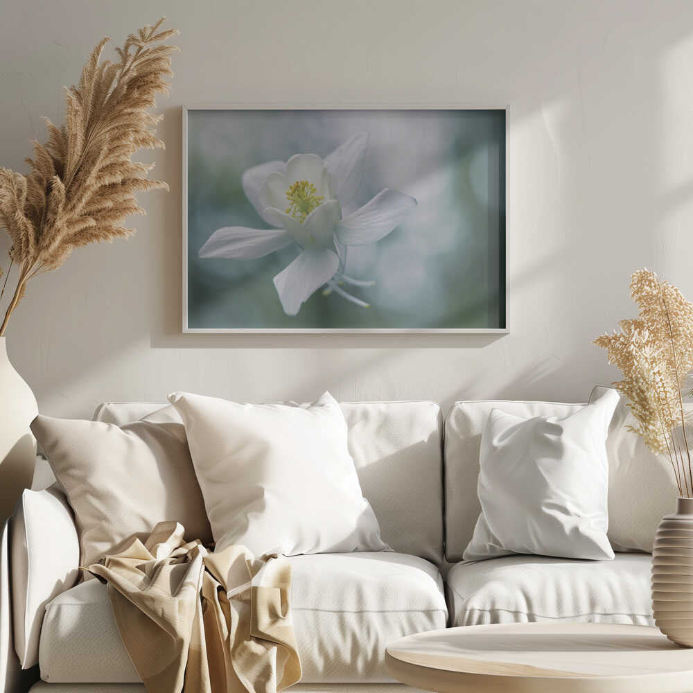 Ethereal White Flower - Floral Photographic Stretched Canvas Poster or Fine Art Print