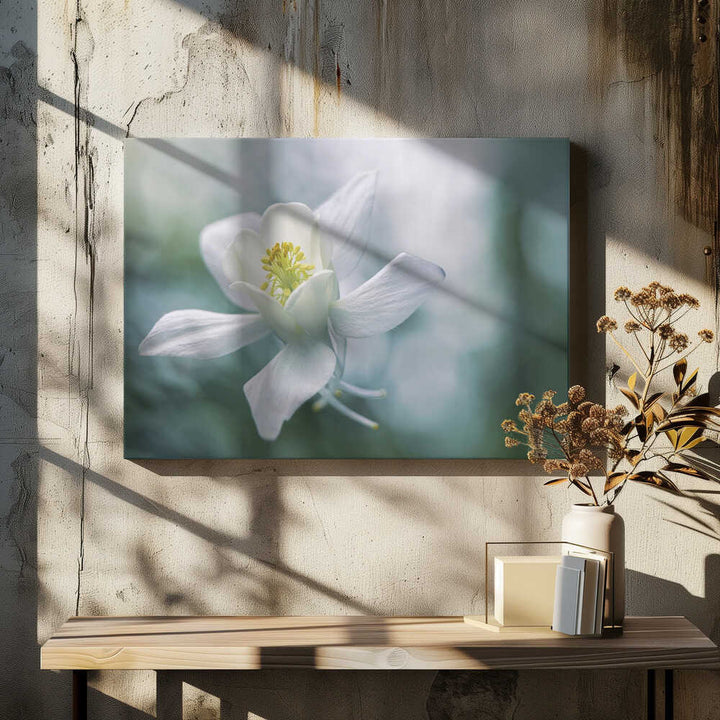 Ethereal White Flower - Floral Photographic Stretched Canvas Poster or Fine Art Print