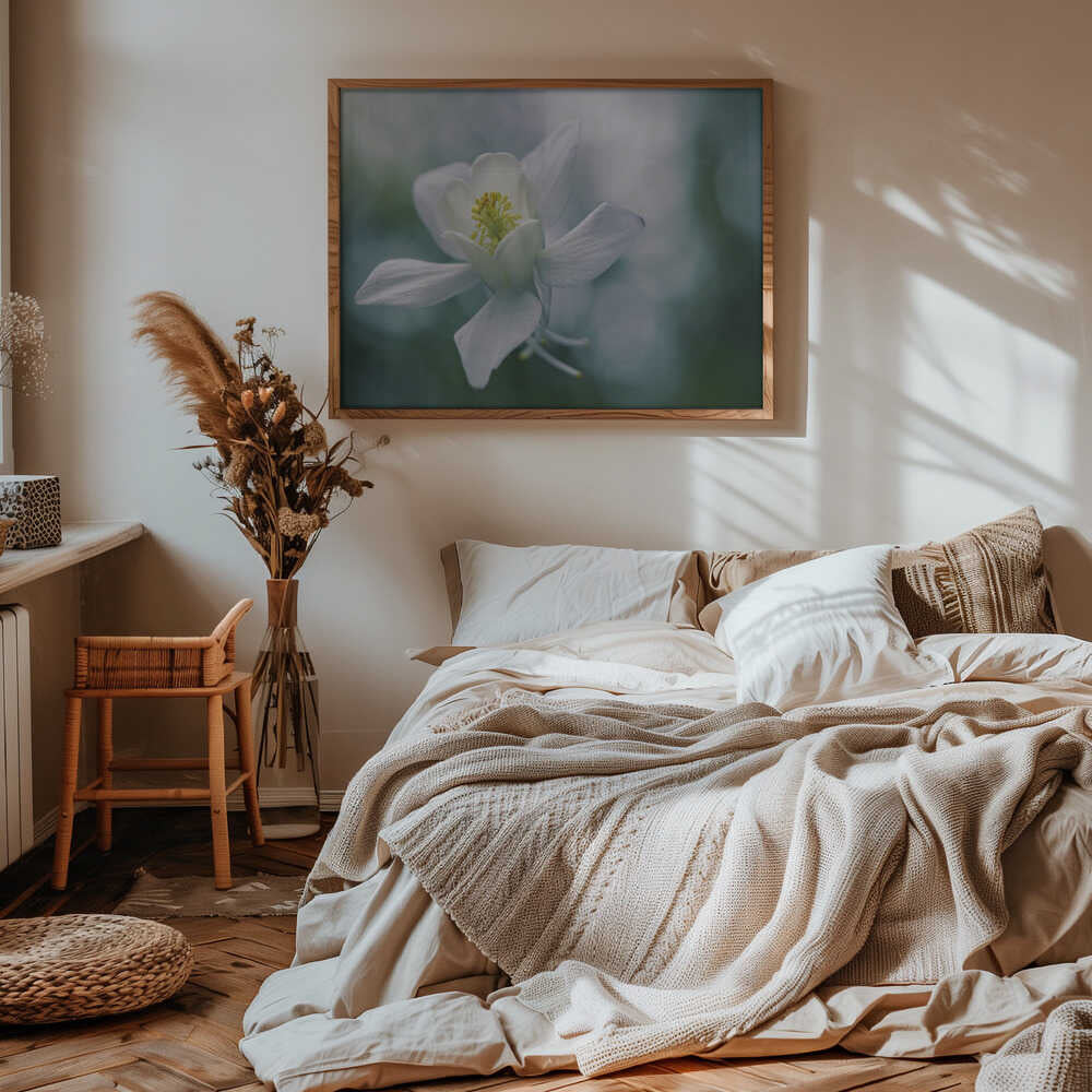 Ethereal White Flower - Floral Photographic Stretched Canvas Poster or Fine Art Print