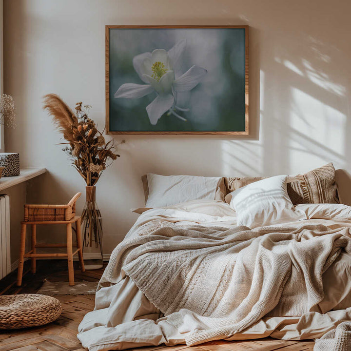 Ethereal White Flower - Floral Photographic Stretched Canvas Poster or Fine Art Print