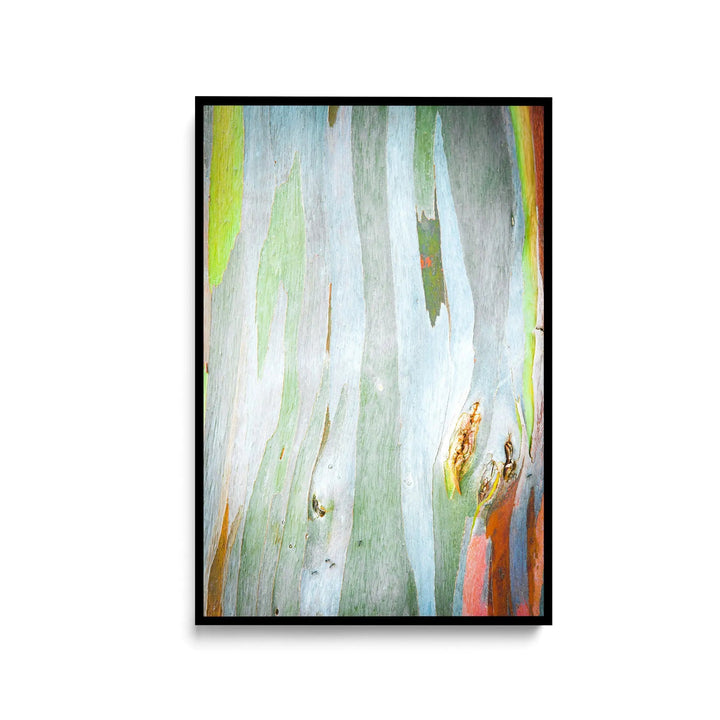 Eucalyptus Bark in Green- Stretched Canvas Print or Framed Fine Art Print - Artwork - I Heart Wall Art