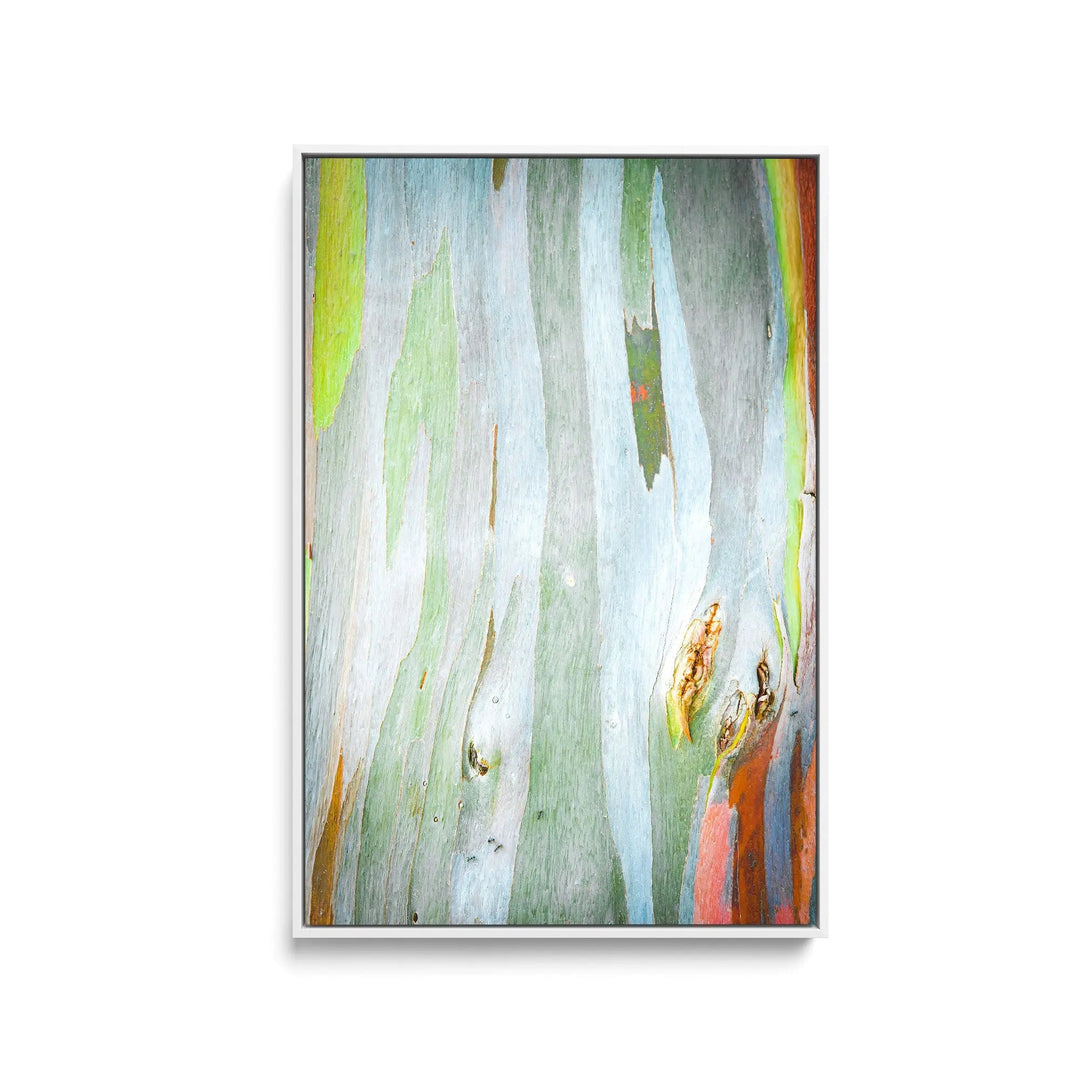Eucalyptus Bark in Green- Stretched Canvas Print or Framed Fine Art Print - Artwork - I Heart Wall Art