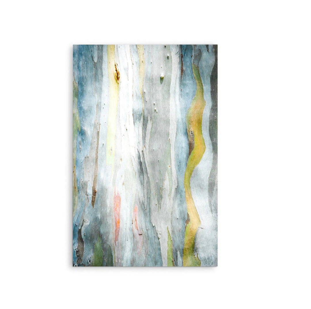 Eucalyptus Bark in Pale Blues- Stretched Canvas Print or Framed Fine Art Print I Heart Wall Art Australia