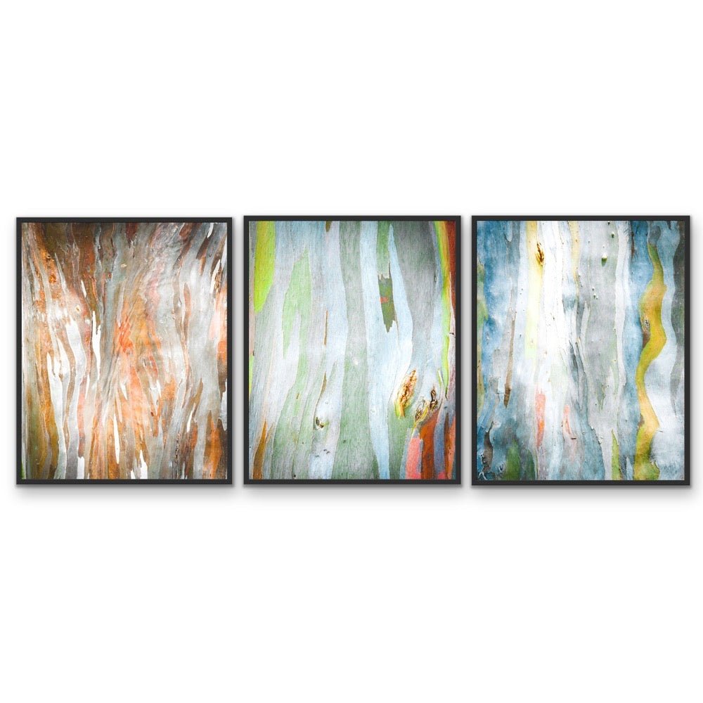 Eucalyptus Bark - Three Piece Eucalypts Bark Australian Native Print Set Triptych - I Heart Wall Art - Poster Print, Canvas Print or Framed Art Print