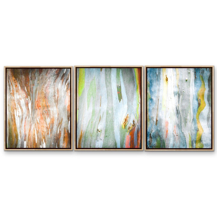 Set of three eucalyptus bark abstract art prints with flowing brushstrokes in earthy tones and light wooden frames