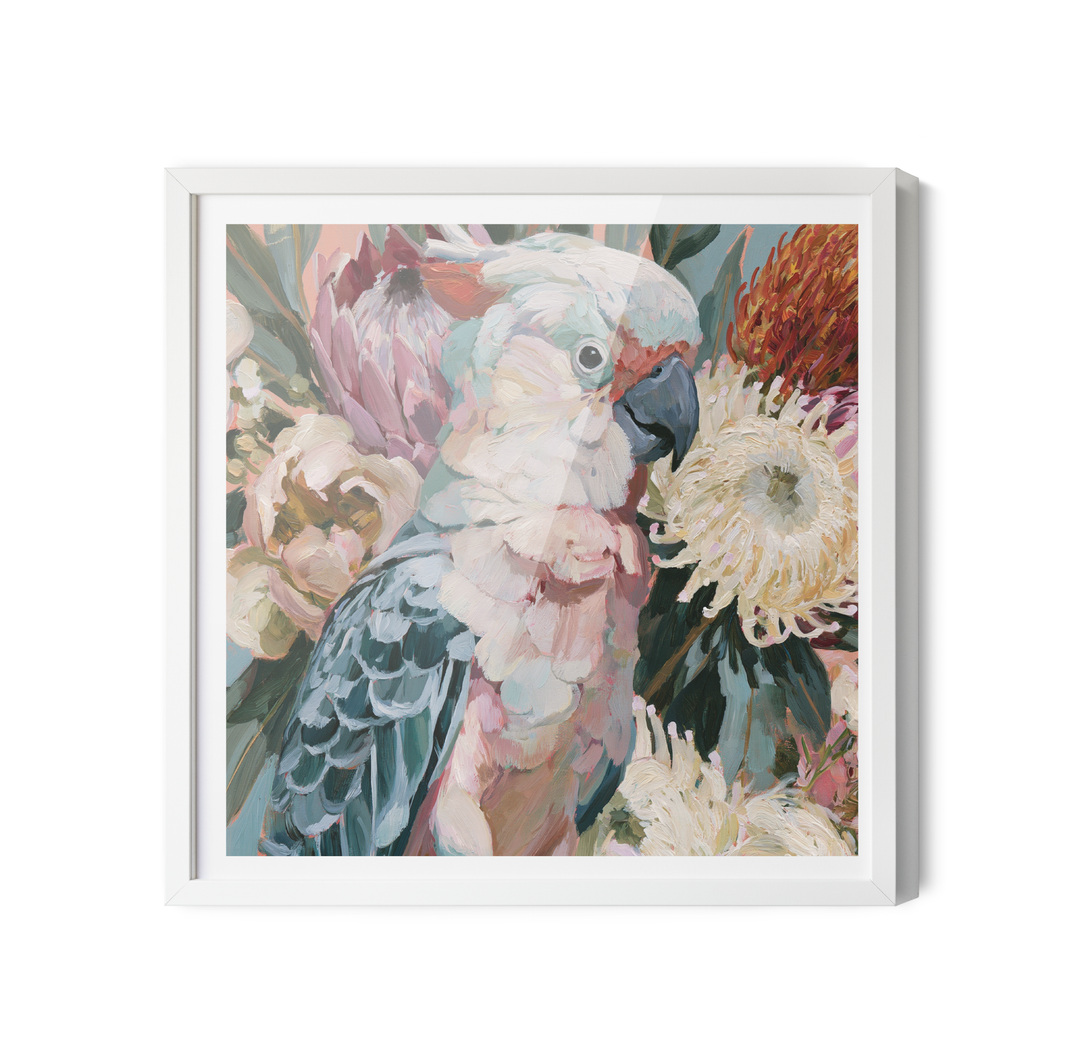 Feathered II by IHeartStudio - Australiana Galah Pink Cockatoo Canvas And Art Print