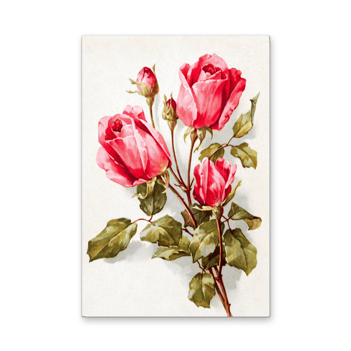 Feldpost Von Hans (1922 - 1945) - Botanical Illustration Stretched Canvas or Wall Art Print - I Heart Wall Art - Poster Print, Canvas Print or Framed Art Print
