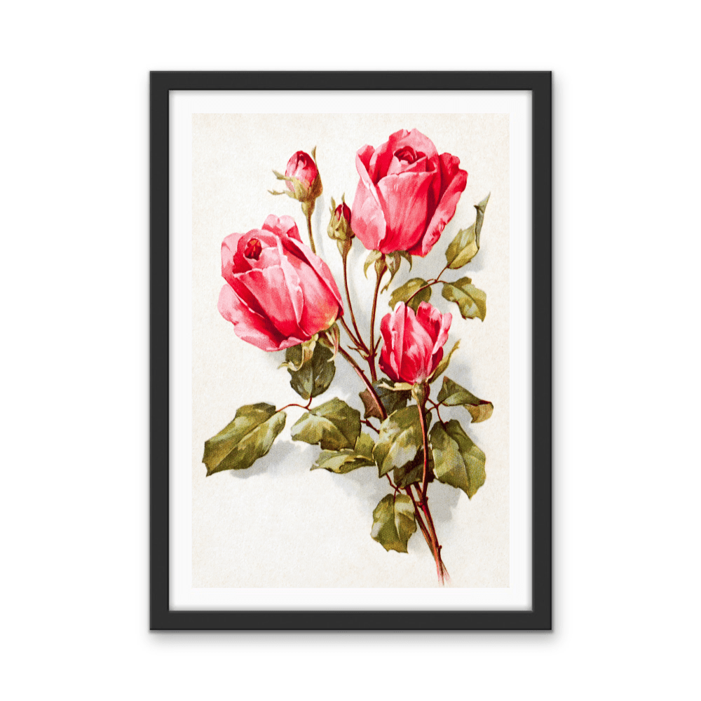 Feldpost Von Hans (1922 - 1945) - Botanical Illustration Stretched Canvas or Wall Art Print - I Heart Wall Art - Poster Print, Canvas Print or Framed Art Print