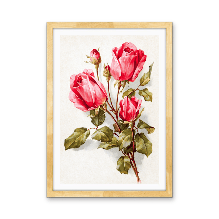 Feldpost Von Hans (1922 - 1945) - Botanical Illustration Stretched Canvas or Wall Art Print - I Heart Wall Art - Poster Print, Canvas Print or Framed Art Print
