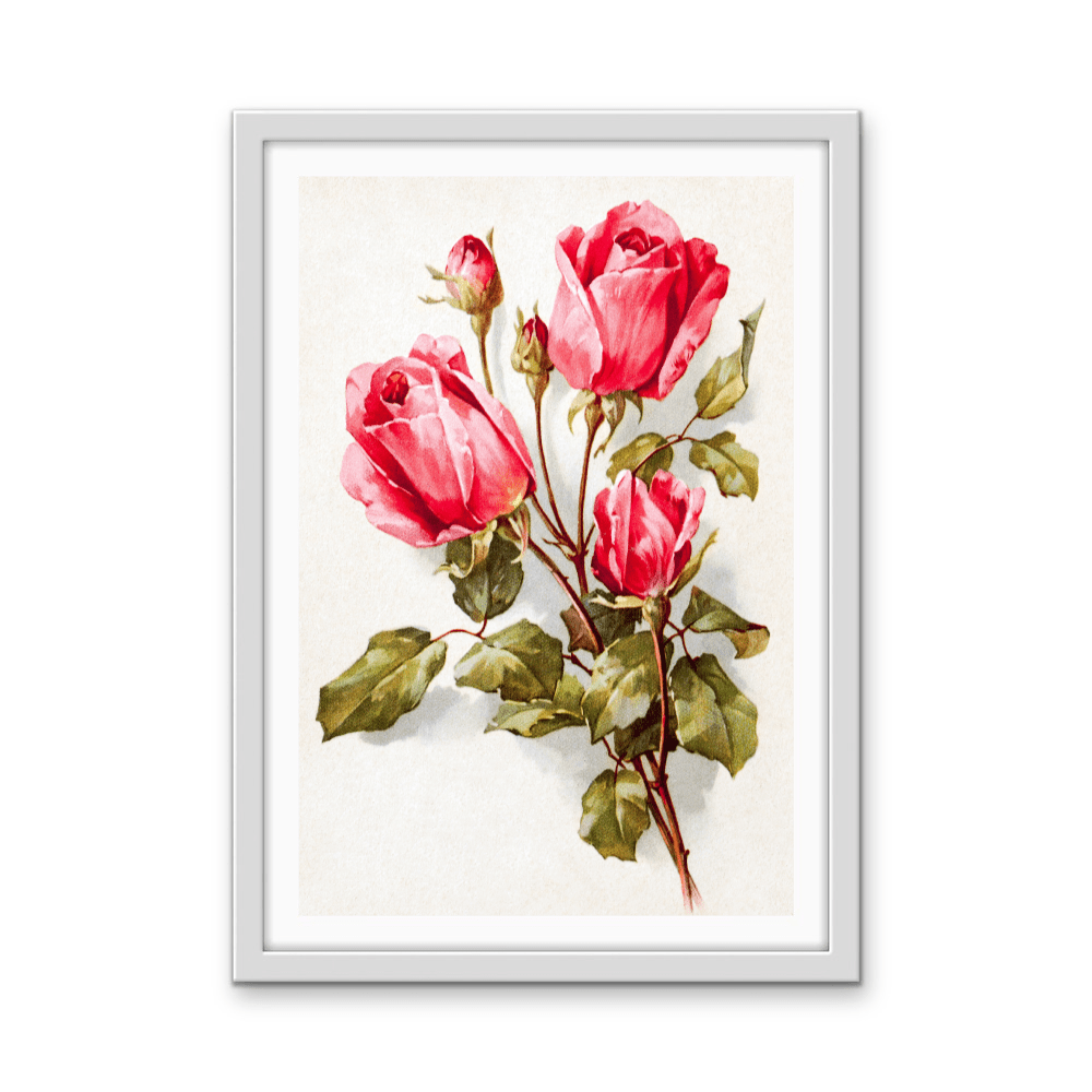 Feldpost Von Hans (1922 - 1945) - Botanical Illustration Stretched Canvas or Wall Art Print - I Heart Wall Art - Poster Print, Canvas Print or Framed Art Print