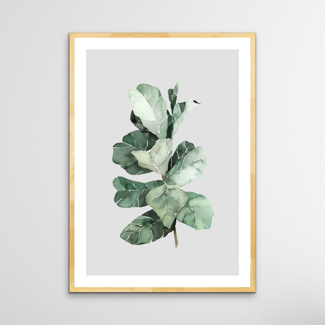 Fiddle Leaf Fig - CLassic Foliage Print Set One - I Heart Wall Art