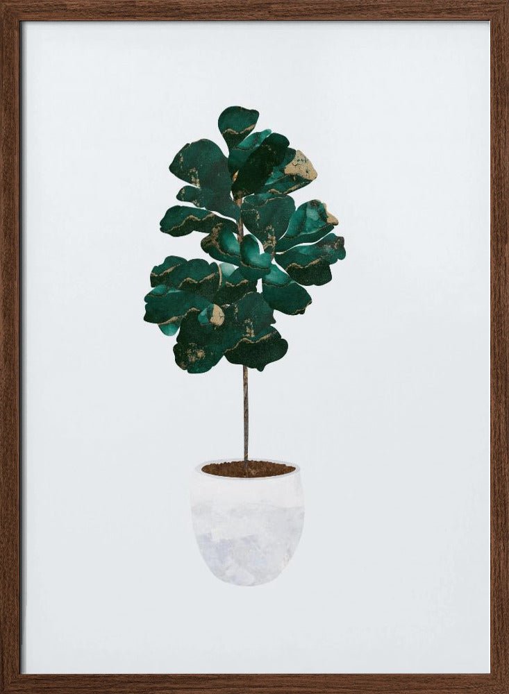 Fiddle leaf fig - Stretched Canvas, Poster or Fine Art Print - I Heart Wall Art - Poster Print, Canvas Print or Framed Art Print
