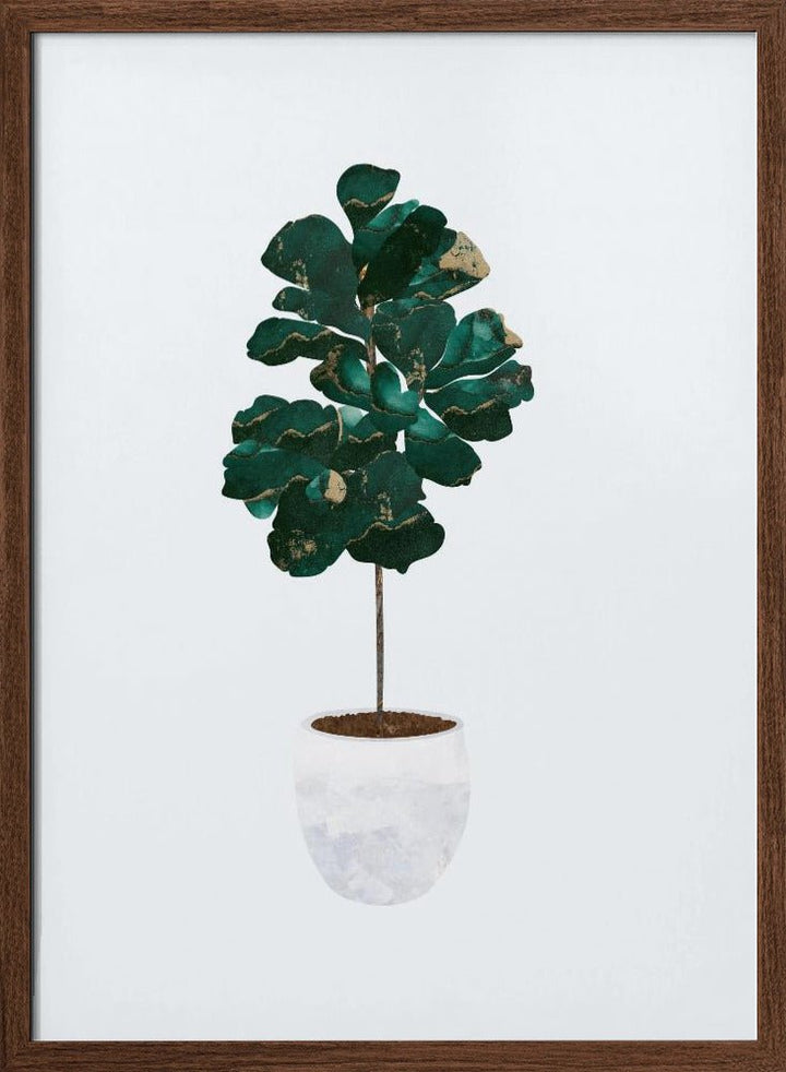 Fiddle leaf fig - Stretched Canvas, Poster or Fine Art Print - I Heart Wall Art - Poster Print, Canvas Print or Framed Art Print