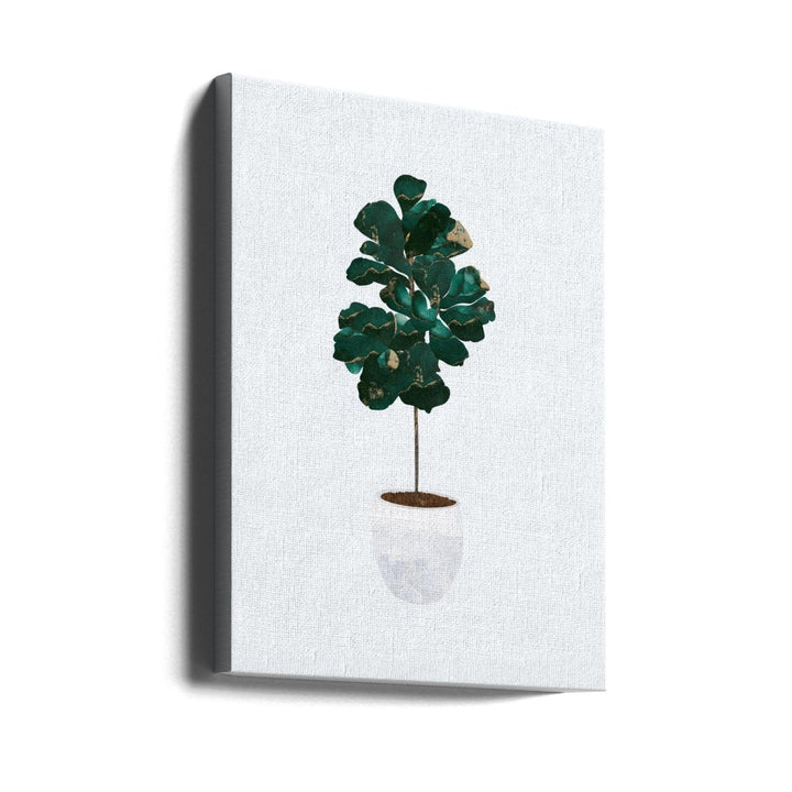 Fiddle leaf fig - Stretched Canvas, Poster or Fine Art Print - I Heart Wall Art - Poster Print, Canvas Print or Framed Art Print