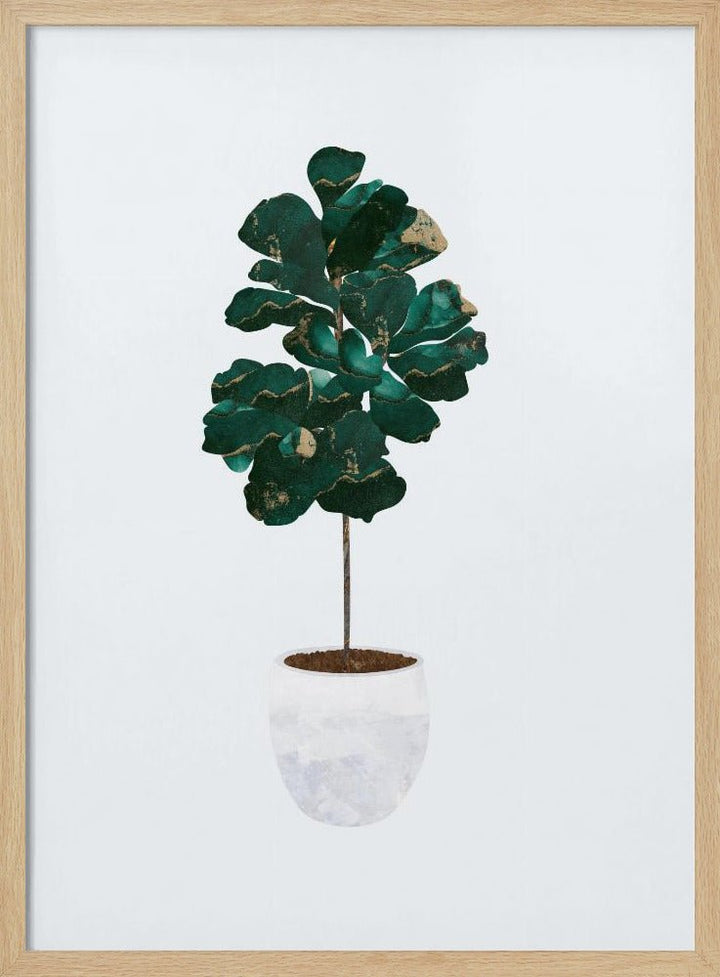Fiddle leaf fig - Stretched Canvas, Poster or Fine Art Print - I Heart Wall Art - Poster Print, Canvas Print or Framed Art Print