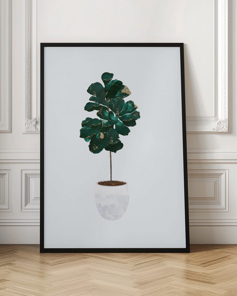 Fiddle leaf fig - Stretched Canvas, Poster or Fine Art Print - I Heart Wall Art - Poster Print, Canvas Print or Framed Art Print
