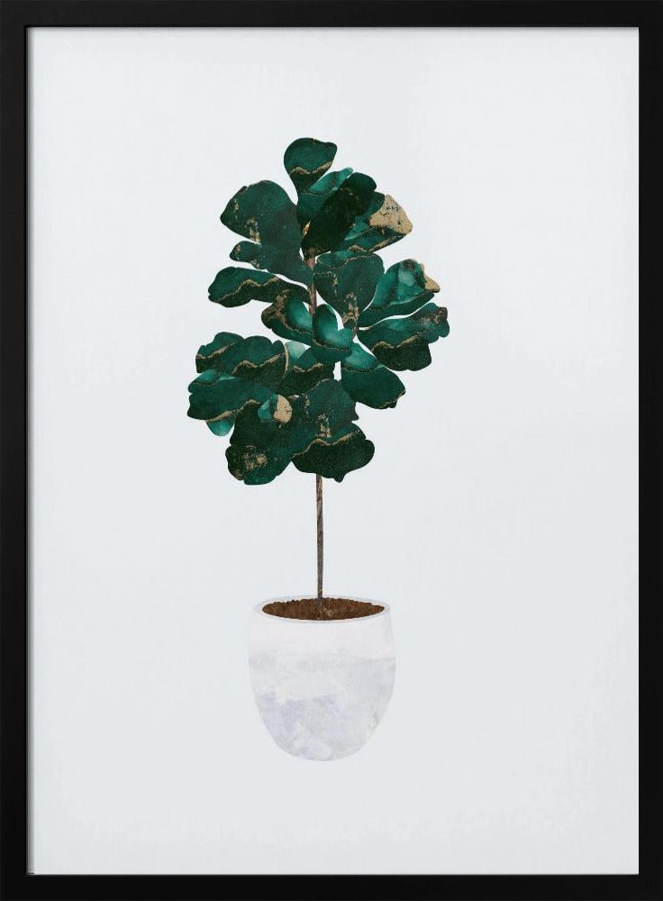 Fiddle leaf fig - Stretched Canvas, Poster or Fine Art Print - I Heart Wall Art - Poster Print, Canvas Print or Framed Art Print