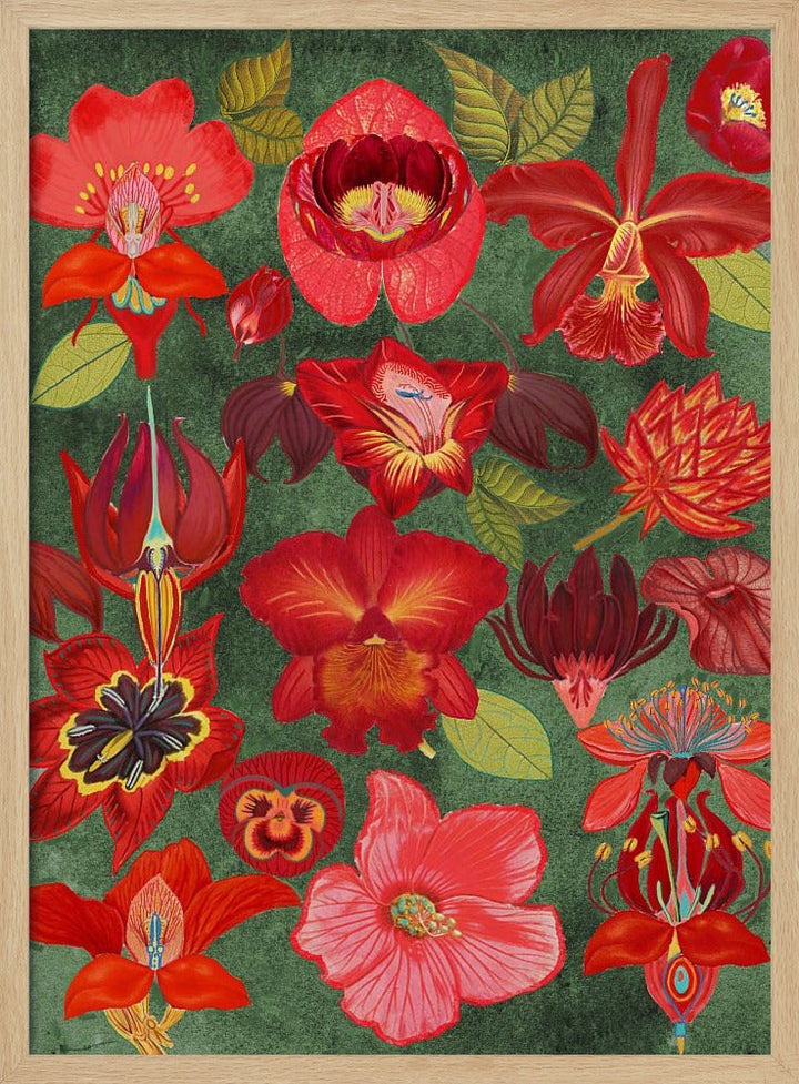 Final Eclectic Garden Copy 3.png - Stretched Canvas, Poster or Fine Art Print I Heart Wall Art