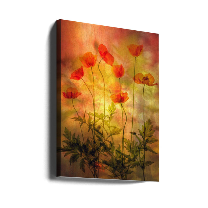 Fire - Stretched Canvas, Poster or Fine Art Print I Heart Wall Art