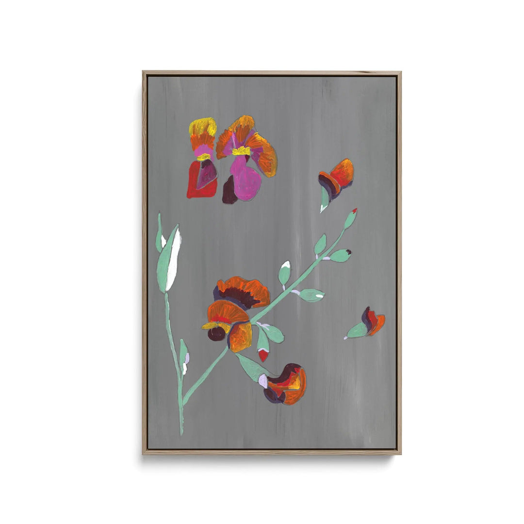 Flame Pea by Lucy Hawkins - Stretched Canvas Print or Framed Fine Art Print - Artwork I Heart Wall Art Australia 
