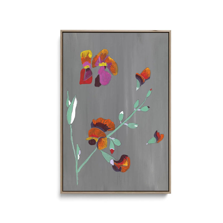 Flame Pea by Lucy Hawkins - Stretched Canvas Print or Framed Fine Art Print - Artwork I Heart Wall Art Australia 
