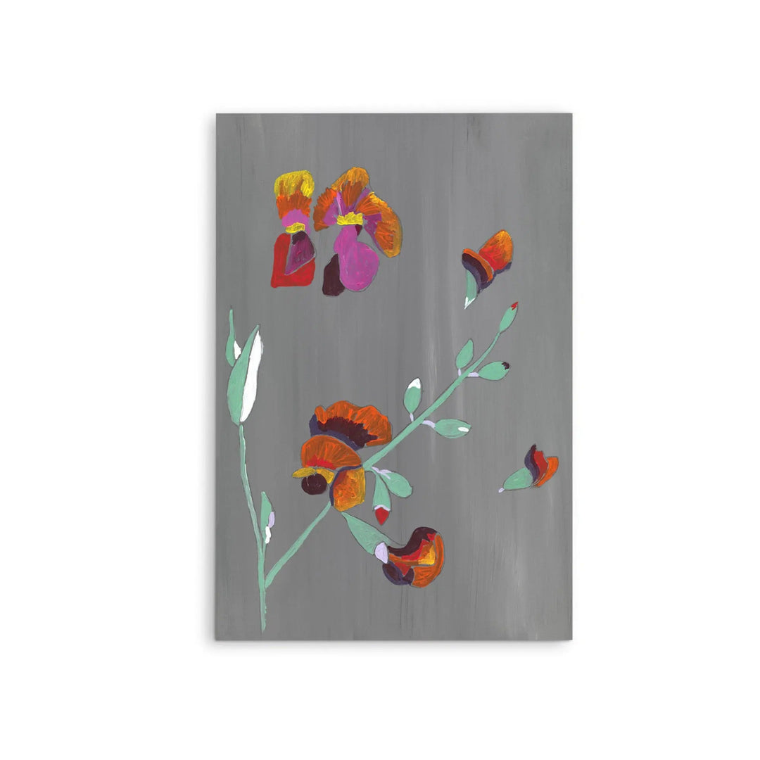 Flame Pea by Lucy Hawkins - Stretched Canvas Print or Framed Fine Art Print - Artwork I Heart Wall Art Australia 