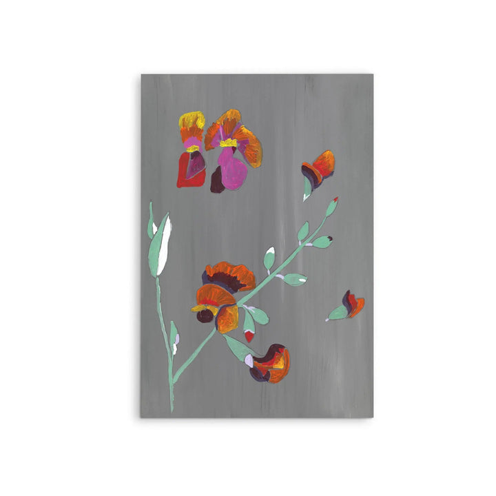 Flame Pea by Lucy Hawkins - Stretched Canvas Print or Framed Fine Art Print - Artwork I Heart Wall Art Australia 