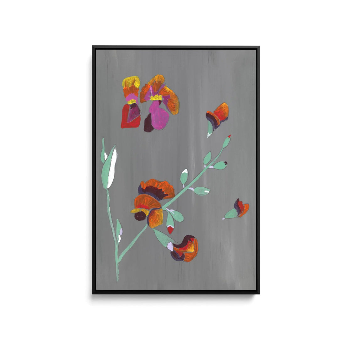 Flame Pea by Lucy Hawkins - Stretched Canvas Print or Framed Fine Art Print - Artwork I Heart Wall Art Australia 