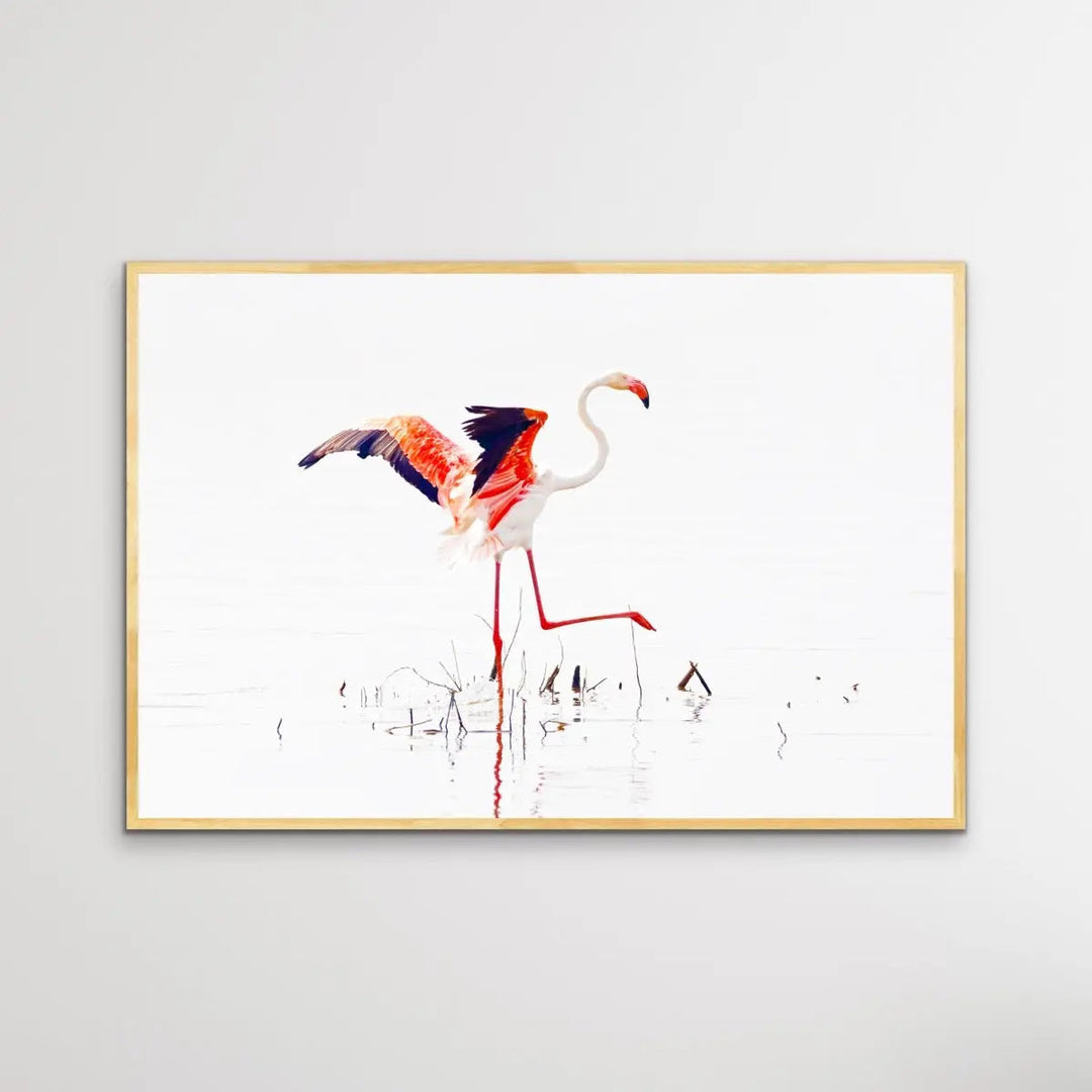 Flamingo Flight I Heart Wall Art Australia 