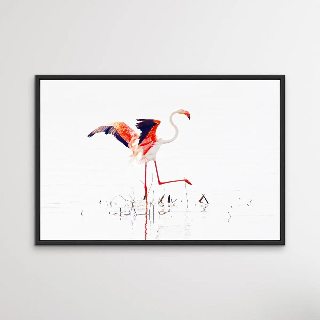 Flamingo Flight I Heart Wall Art Australia 