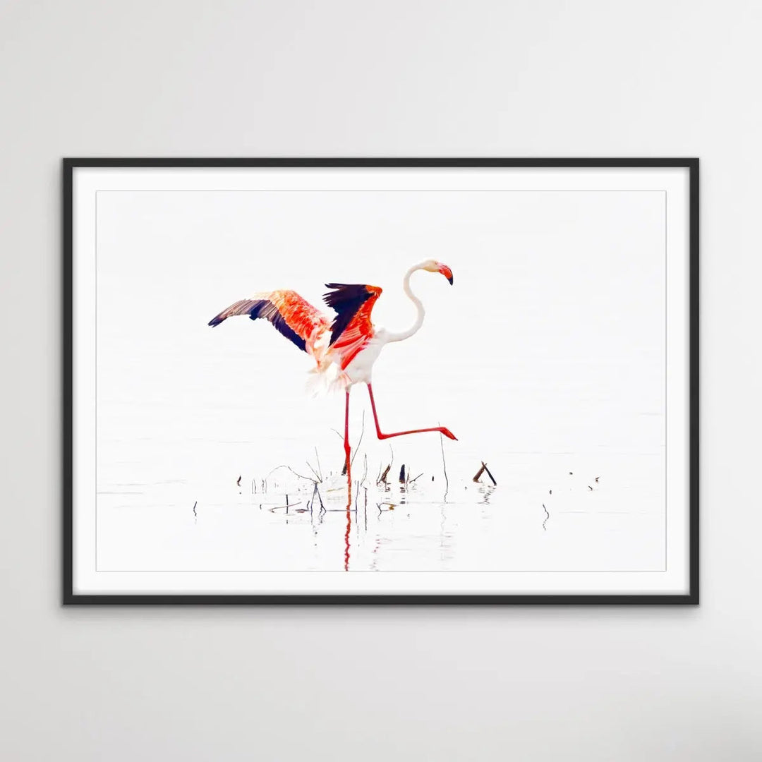 Flamingo Flight I Heart Wall Art Australia 
