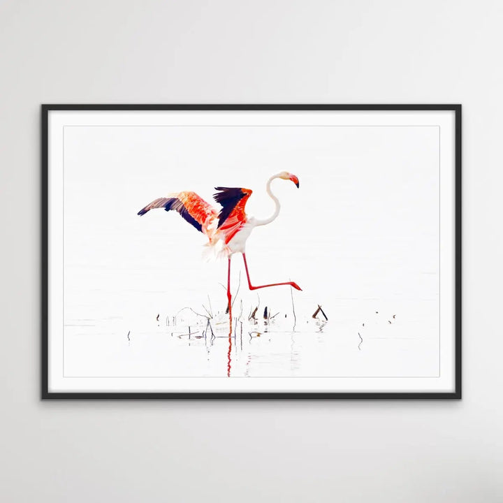 Flamingo Flight I Heart Wall Art Australia 