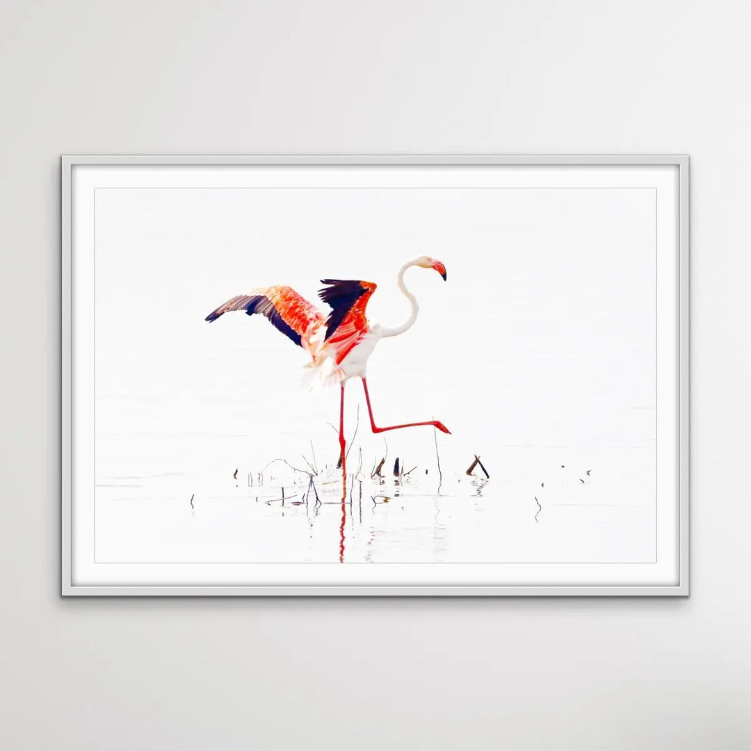 Flamingo Flight I Heart Wall Art Australia 