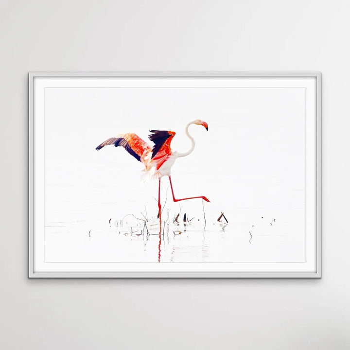 Flamingo Flight I Heart Wall Art Australia 