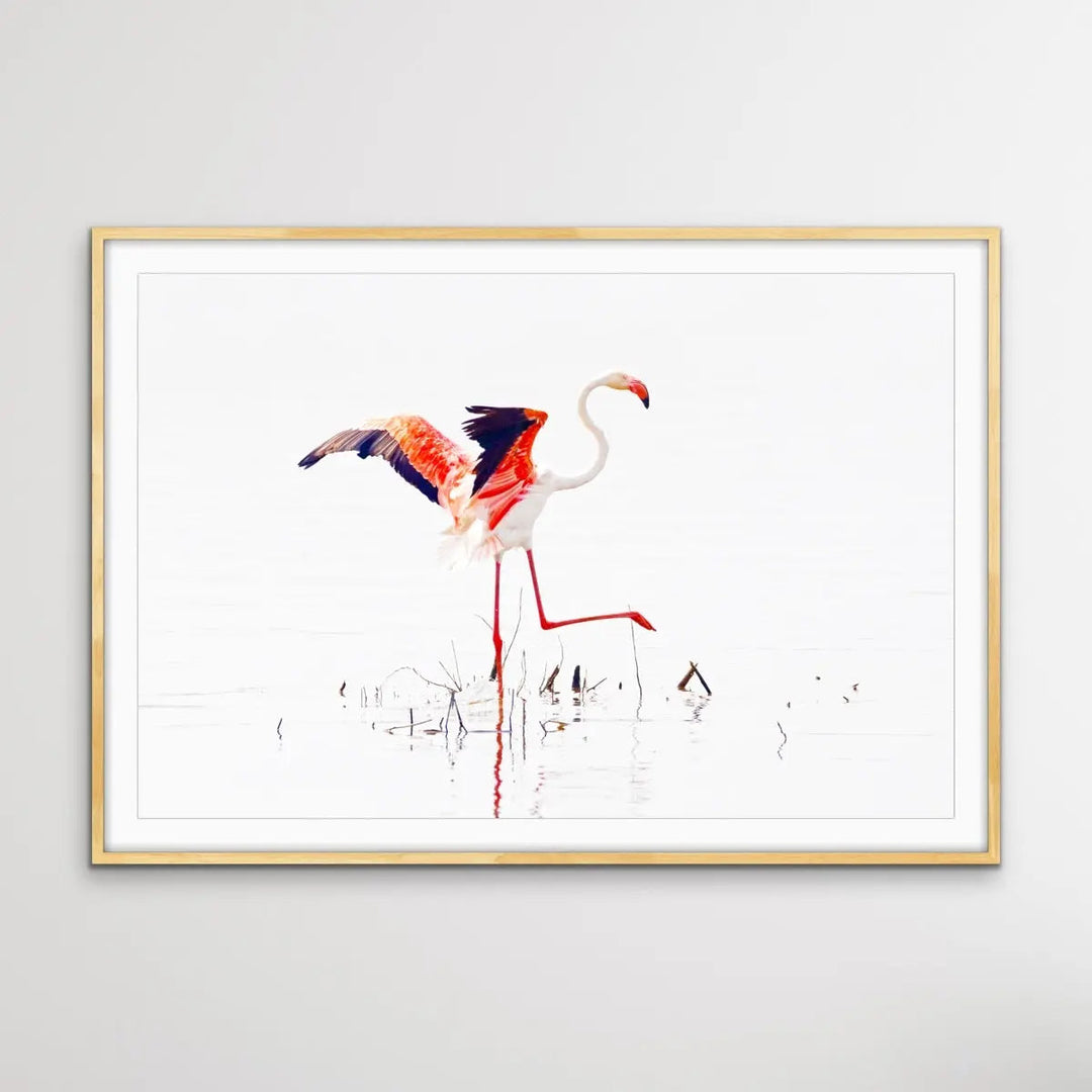 Flamingo Flight I Heart Wall Art Australia 