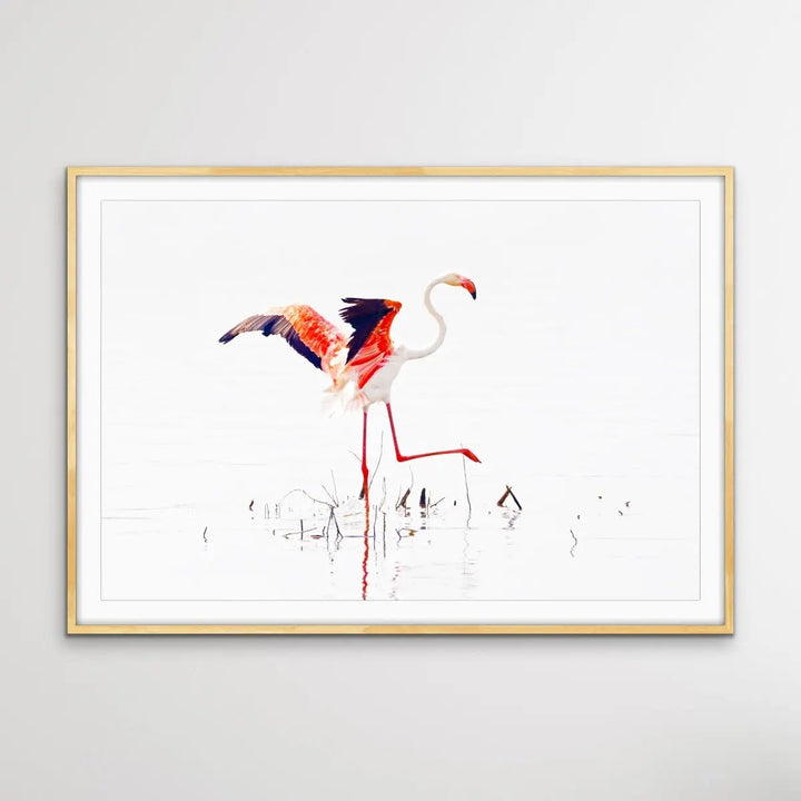 Flamingo Flight I Heart Wall Art Australia 