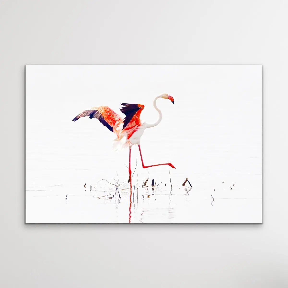 Flamingo Flight I Heart Wall Art Australia 
