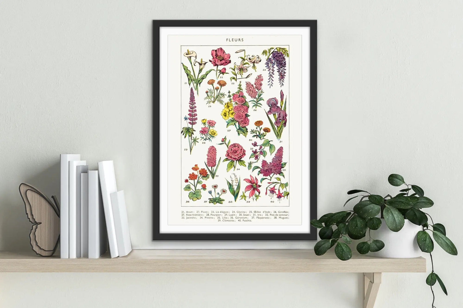 Fleurs 2 French Vintage Botanical Illustration - Stretched Canvas Print or Framed Fine Art Print - Artwork I Heart Wall Art Australia