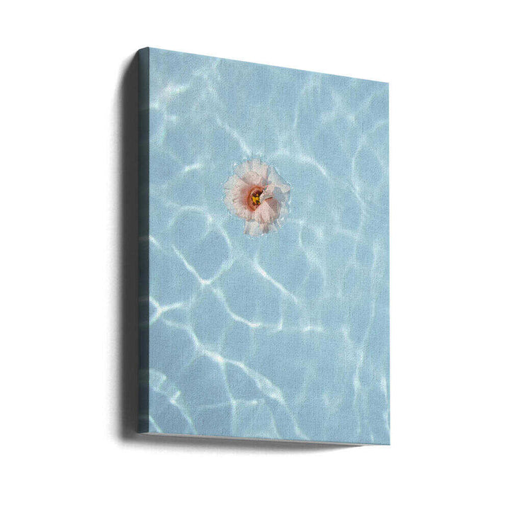 Floating Flower - Stretched Canvas, Poster or Fine Art Print - I Heart Wall Art - Poster Print, Canvas Print or Framed Art Print