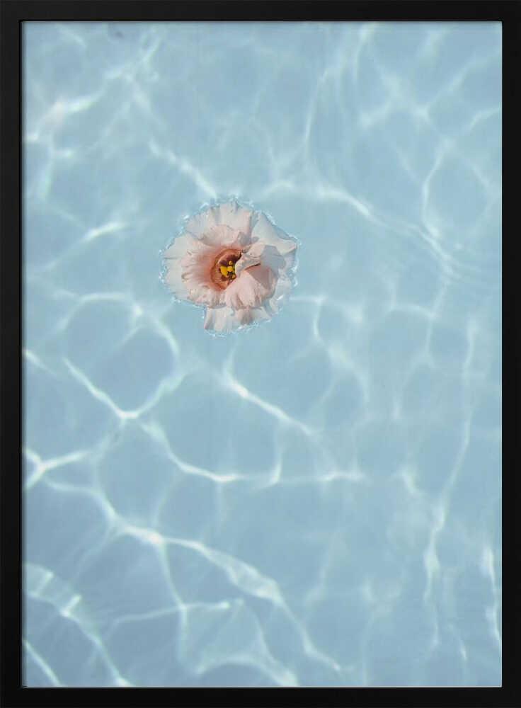Floating Flower - Stretched Canvas, Poster or Fine Art Print - I Heart Wall Art - Poster Print, Canvas Print or Framed Art Print