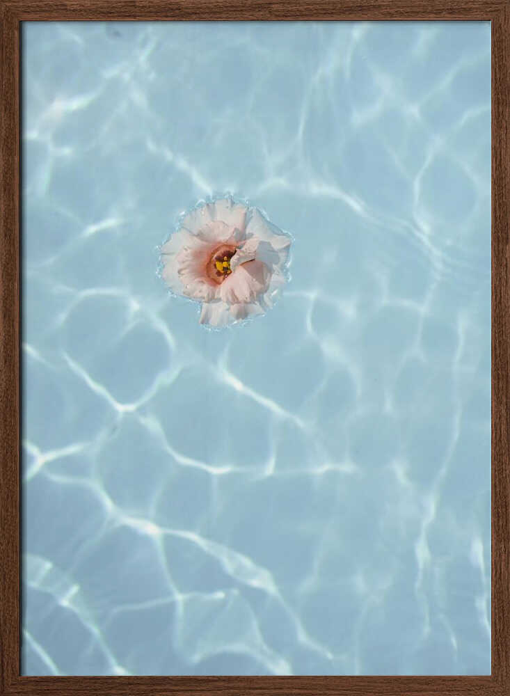 Floating Flower - Stretched Canvas, Poster or Fine Art Print - I Heart Wall Art - Poster Print, Canvas Print or Framed Art Print