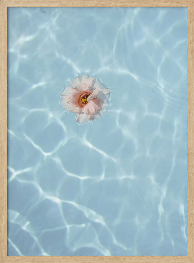 Floating Flower - Stretched Canvas, Poster or Fine Art Print - I Heart Wall Art - Poster Print, Canvas Print or Framed Art Print